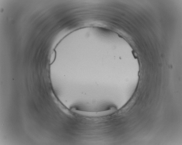 X0000075890816200610151749