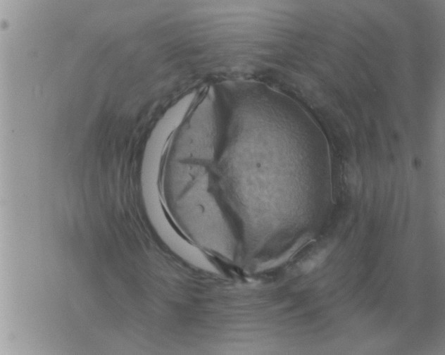 X0000075890818200610151749