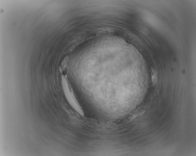 X0000075890819200610151749