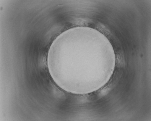 X0000075890820200610151749