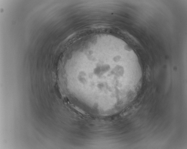 X0000075890821200610151749