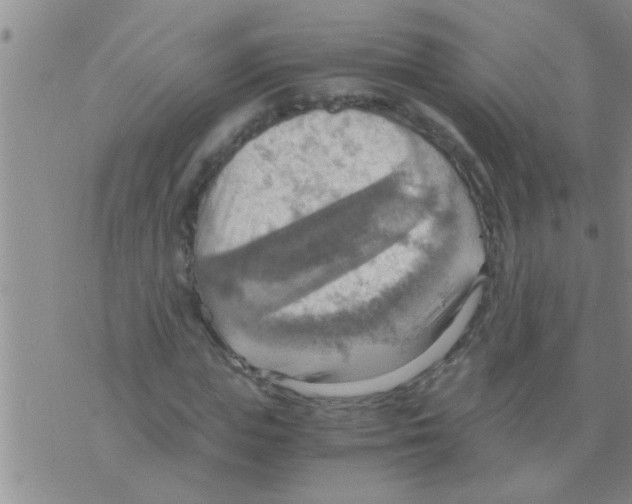 X0000075890823200610151749