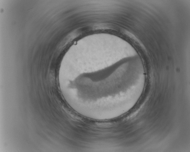 X0000075890825200610151749