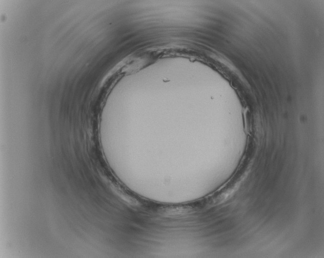 X0000075890826200610151749