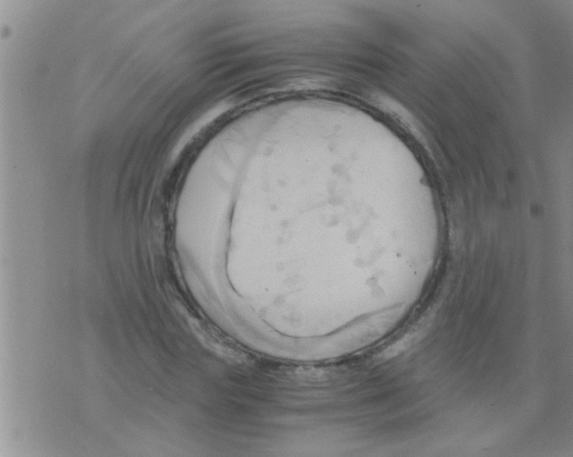 X0000075890827200610151749