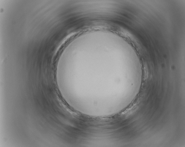 X0000075890828200610151749