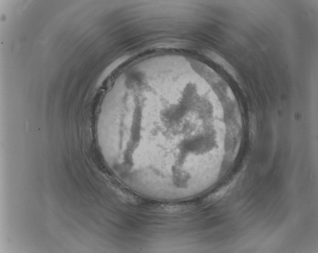 X0000075890829200610151749