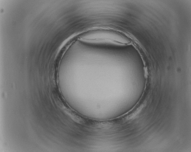 X0000075890830200610151749