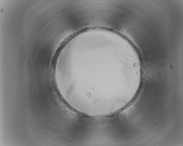 X0000075890832200610151749