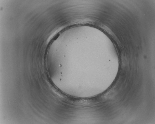 X0000075890834200610151749