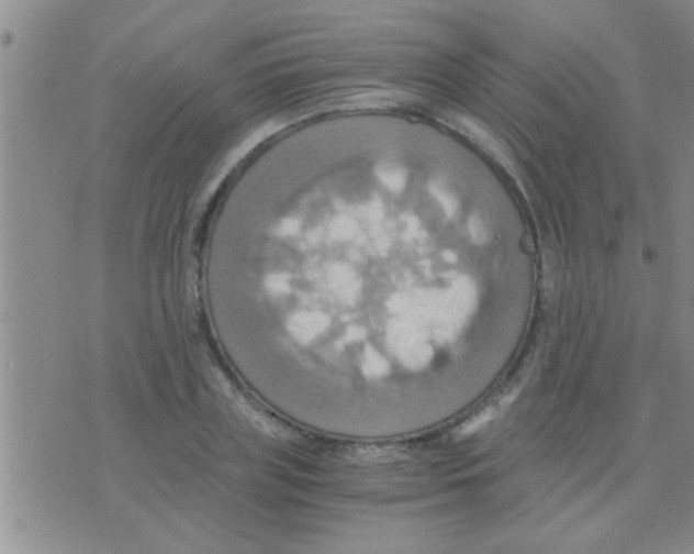 X0000075890835200610151749