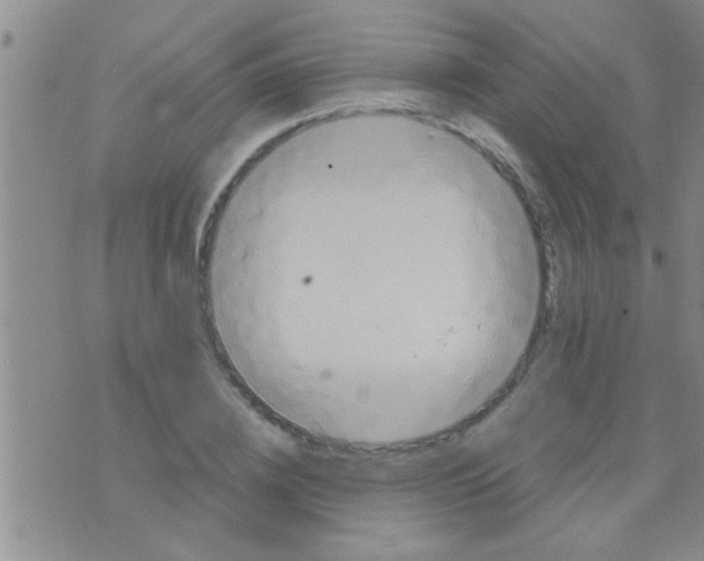 X0000075890836200610151749