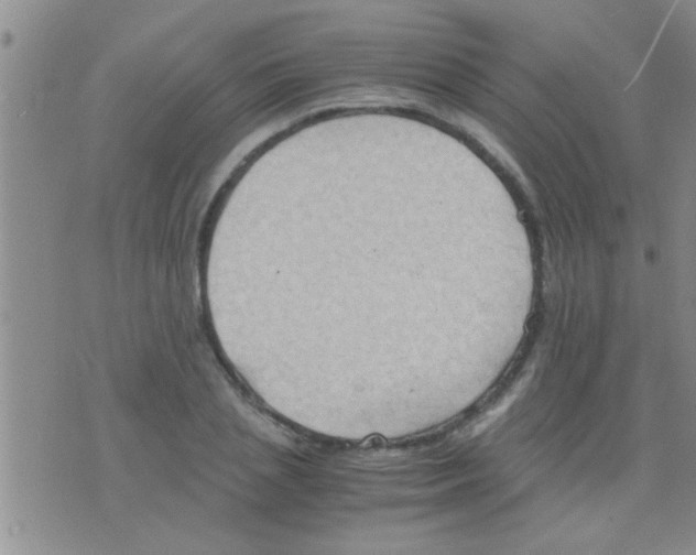 X0000075890837200610151749