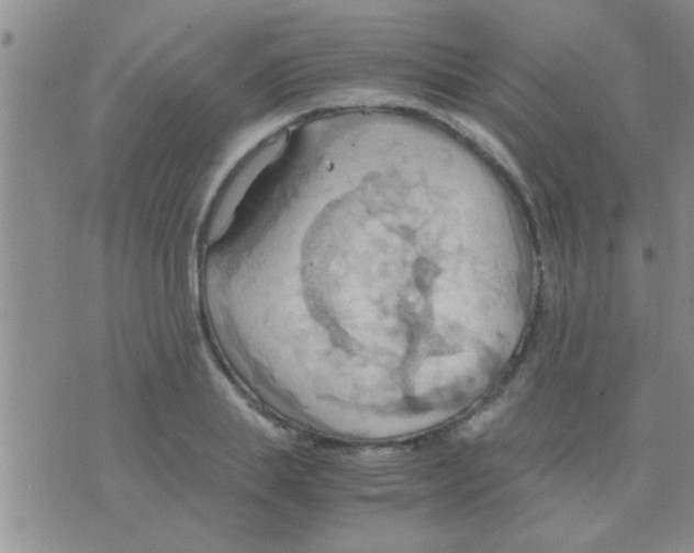 X0000075890839200610151749