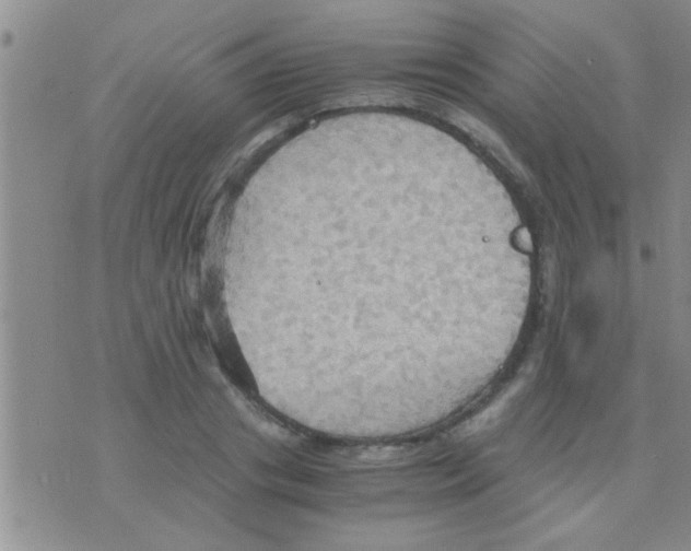 X0000075890841200610151749