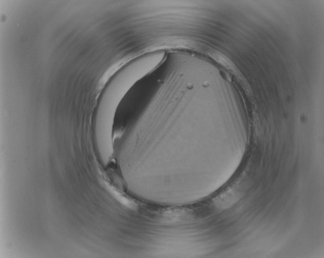 X0000075890842200610151749