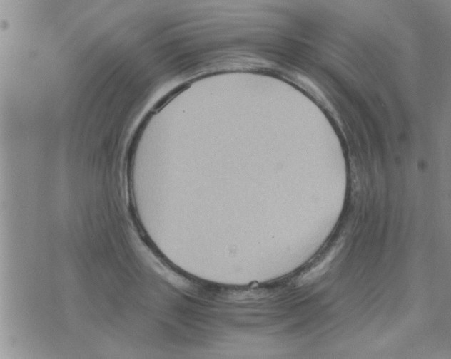 X0000075890843200610151749