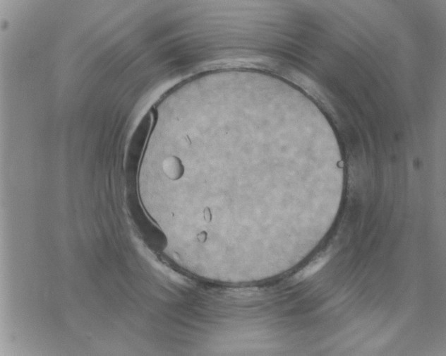 X0000075890844200610151749