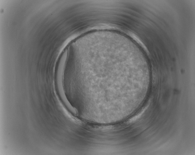 X0000075890845200610151749