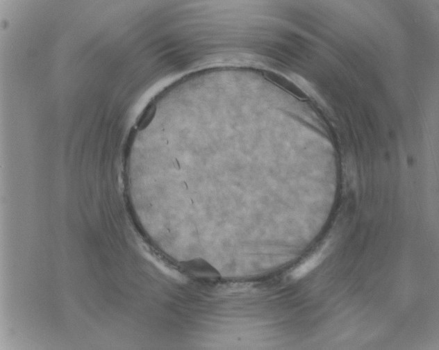 X0000075890846200610151749