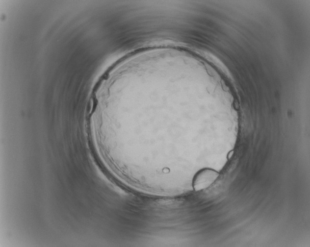 X0000075890847200610151749