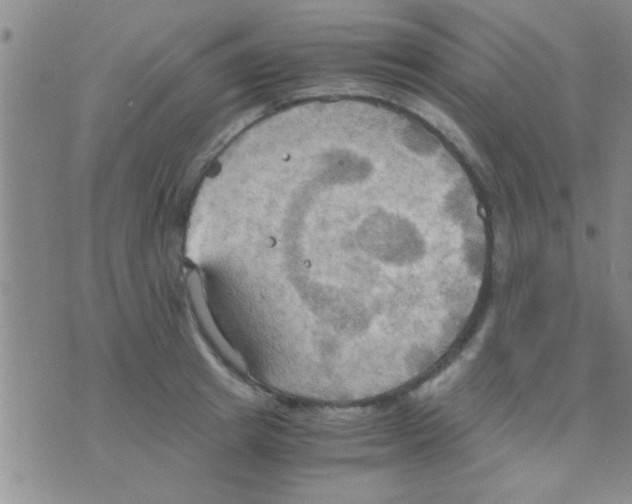 X0000075890849200610151749