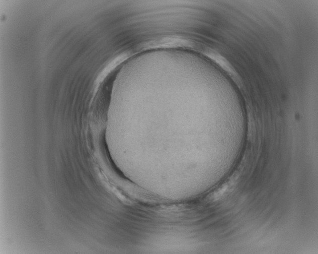 X0000075890850200610151749