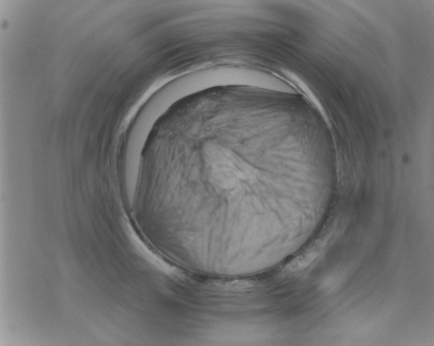 X0000075890851200610151749