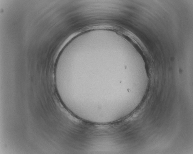 X0000075890852200610151749