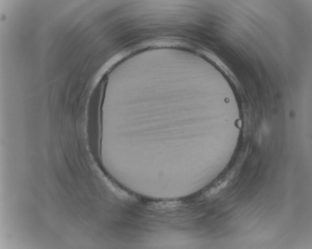 X0000075890853200610151749