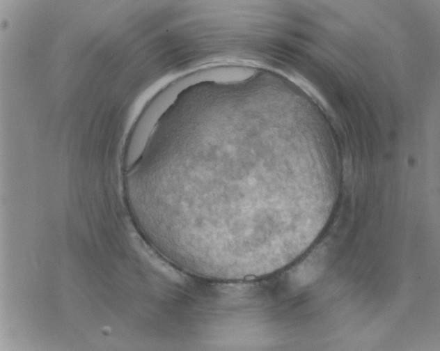 X0000075890854200610151749