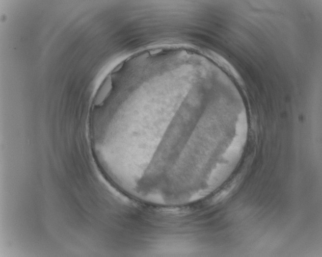 X0000075890855200610151749