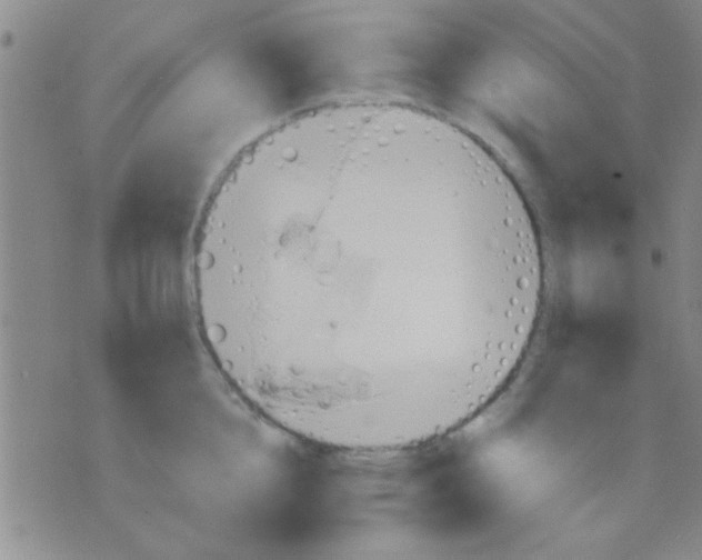 X0000075890856200610151749