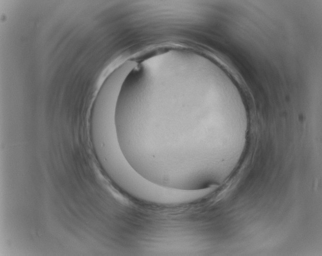 X0000075890858200610151749