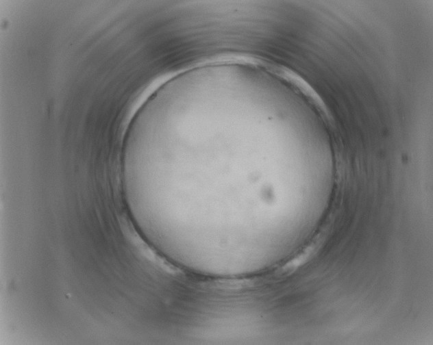 X0000075890860200610151749