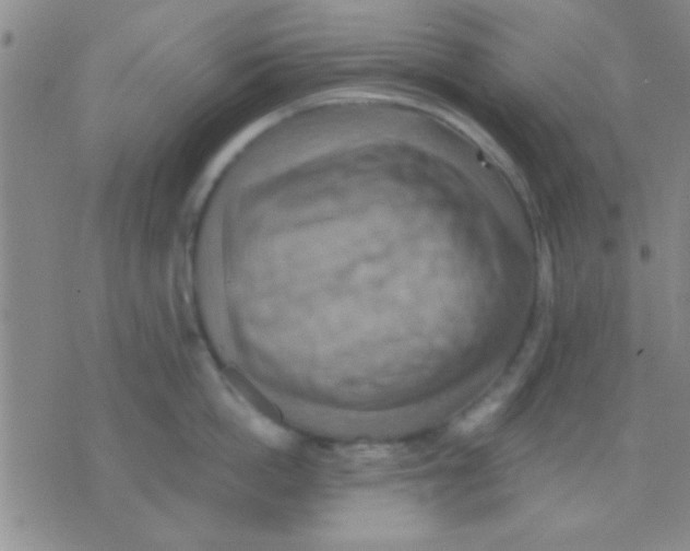 X0000075890862200610151749