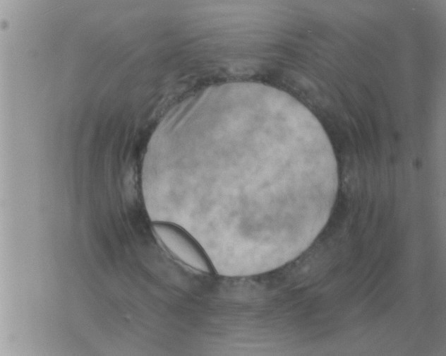 X0000075890866200610151749