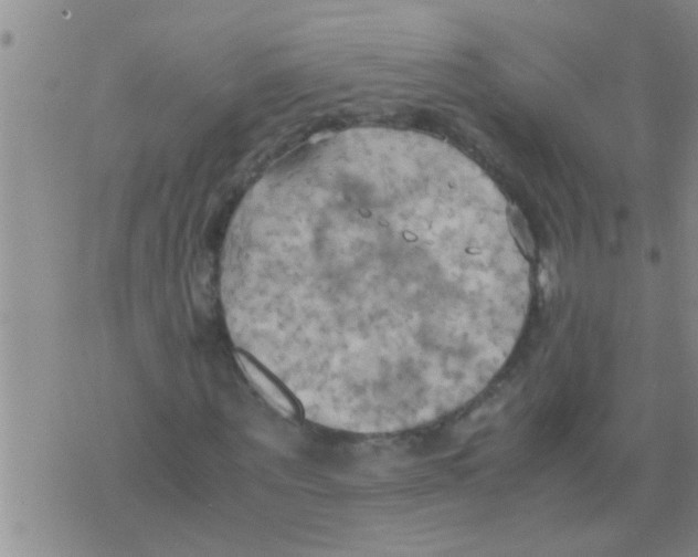 X0000075890867200610151749