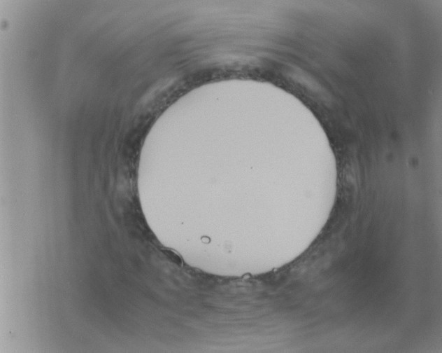 X0000075890869200610151749