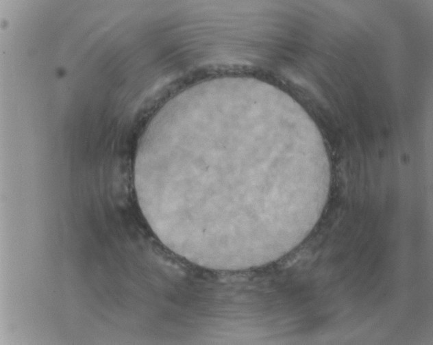 X0000075890870200610151749