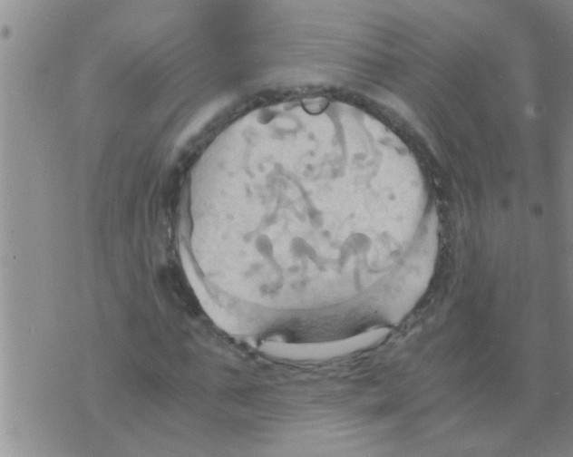 X0000075890871200610151749