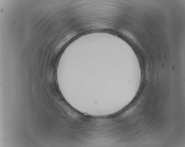 X0000075890873200610151749