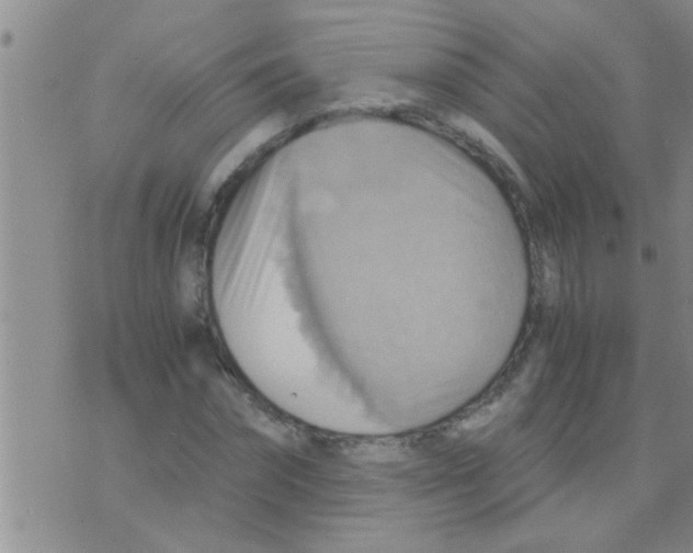 X0000075890874200610151748