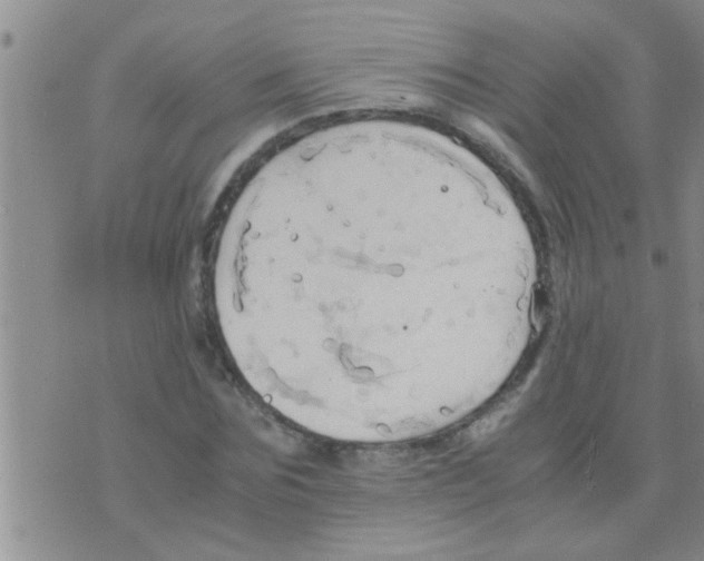 X0000075890875200610151748