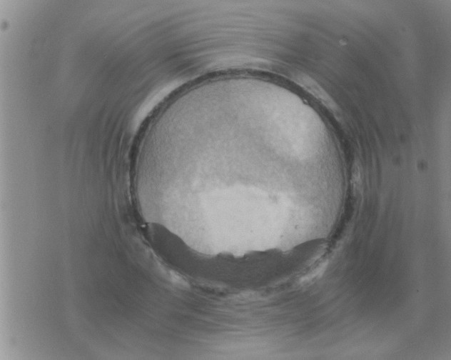 X0000075890877200610151748