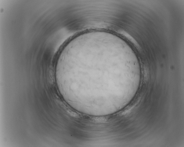 X0000075890878200610151748