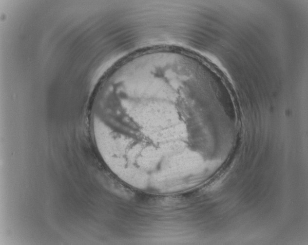 X0000075890879200610151748