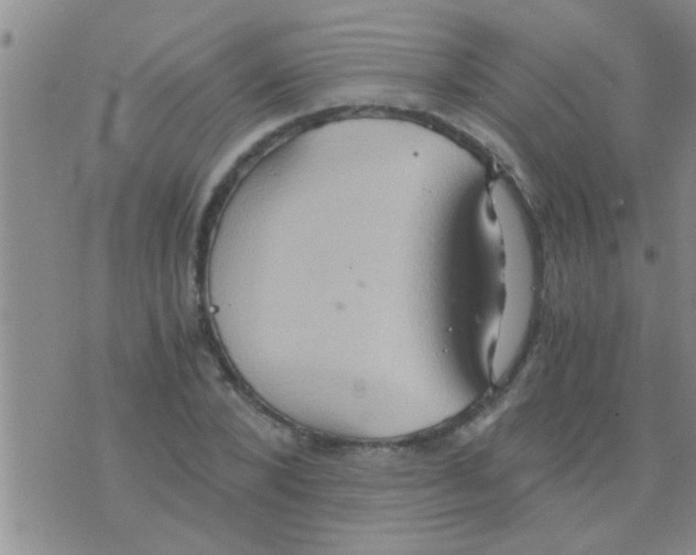 X0000075890880200610151748