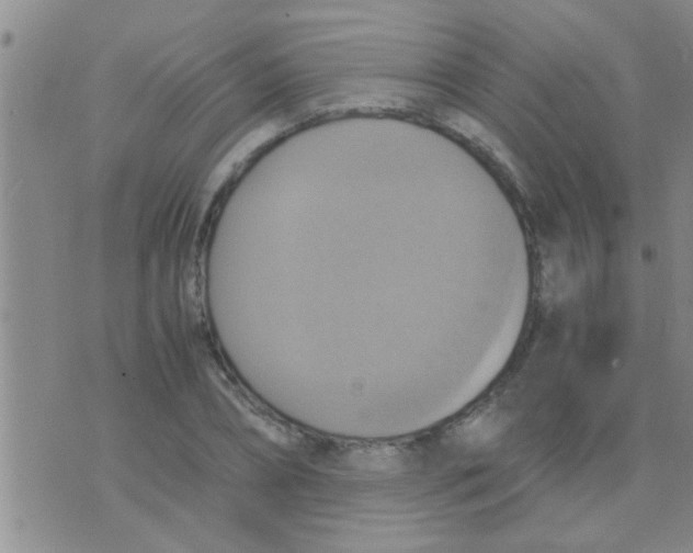 X0000075890882200610151748