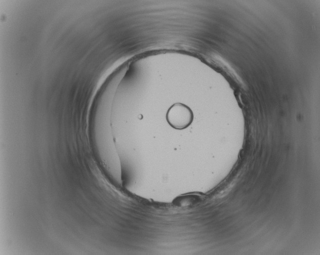 X0000075890884200610151748